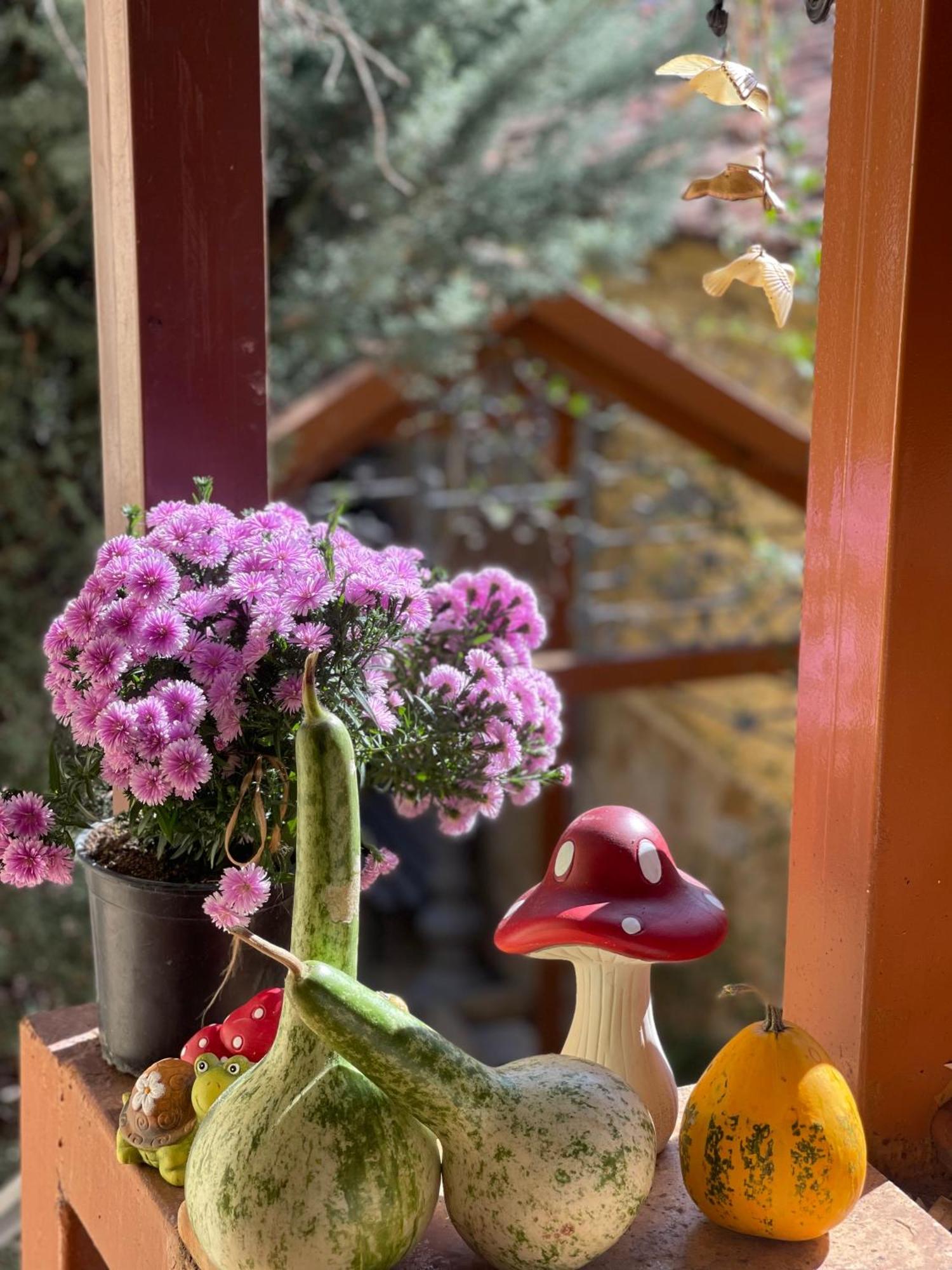 Shkodra Guest House & Trips 외부 사진