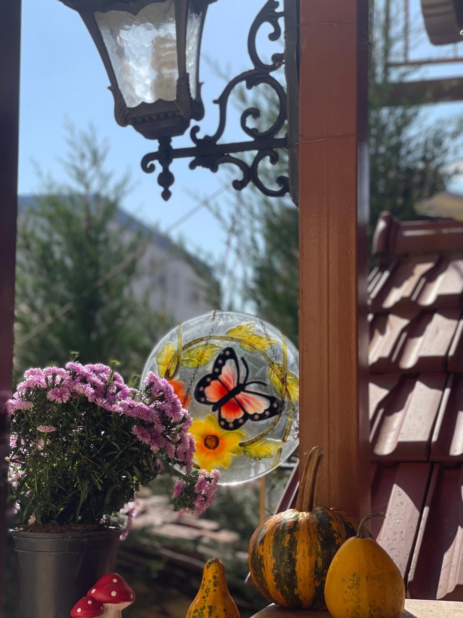 Shkodra Guest House & Trips 외부 사진